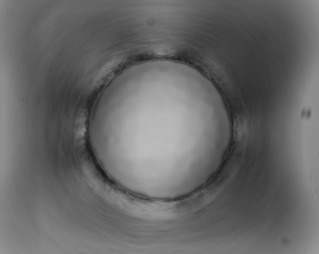 X0000113620032200910021839