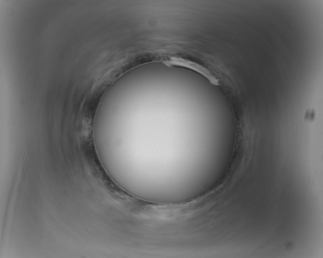 X0000113620033200910021839