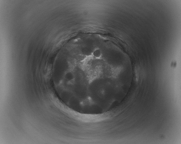 X0000113620034200910021839