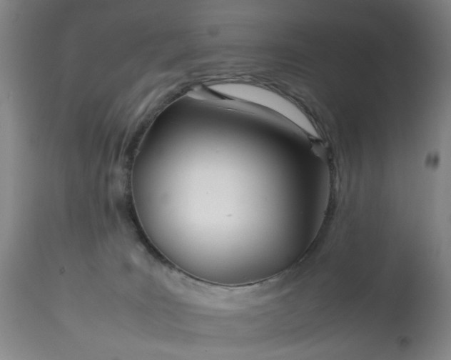 X0000113620035200910021839