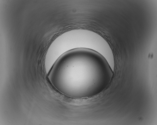 X0000113620037200910021839