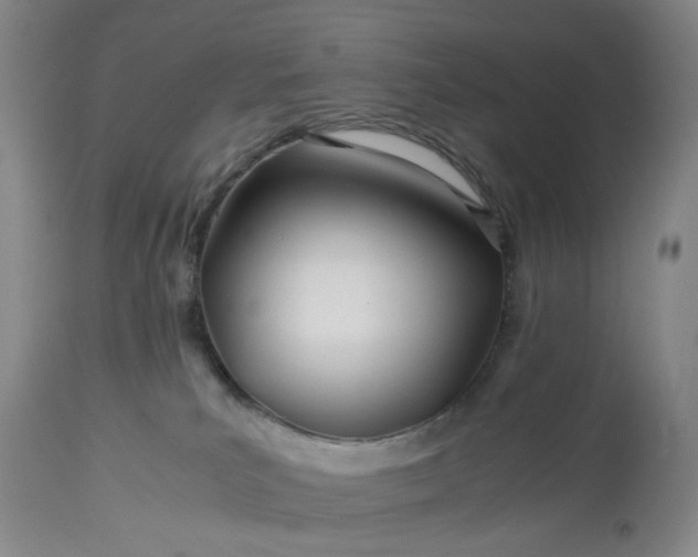 X0000113620039200910021839