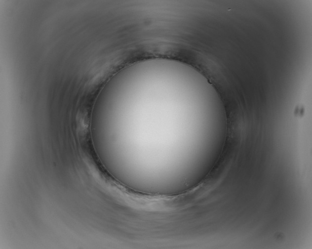 X0000113620040200910021839