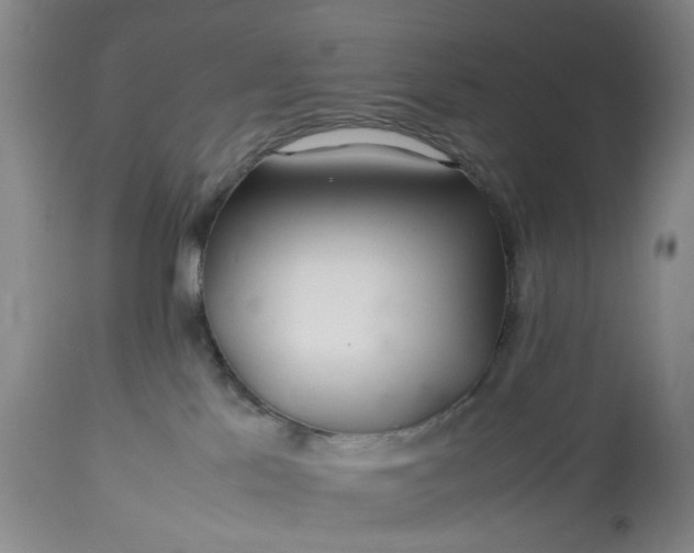 X0000113620041200910021839