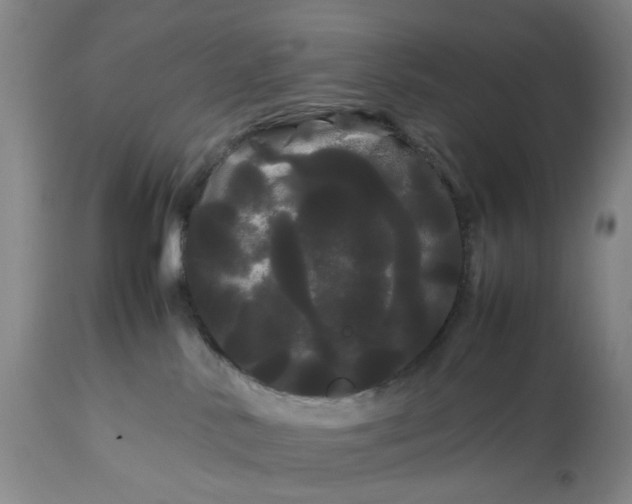 X0000113620042200910021839