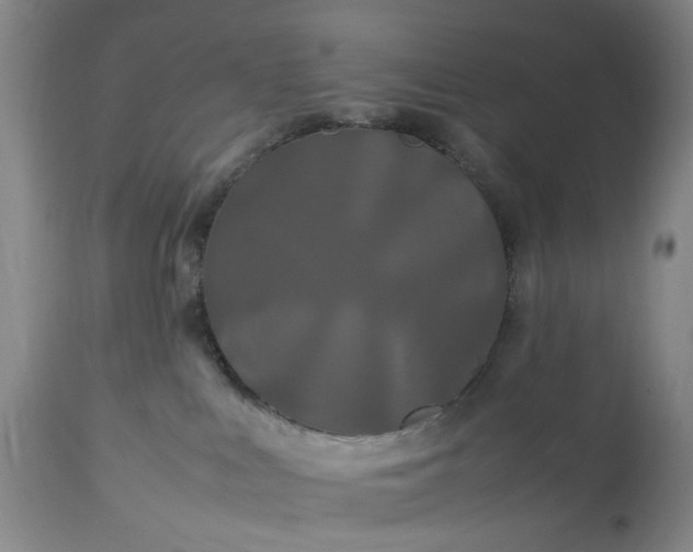 X0000113620043200910021839