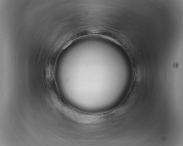 X0000113620044200910021839