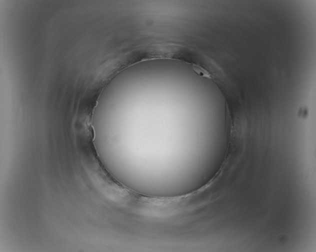 X0000113620045200910021839