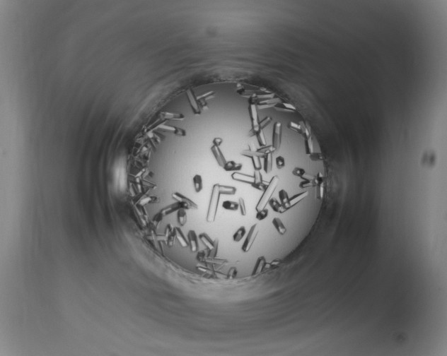 X0000113620046200910021839