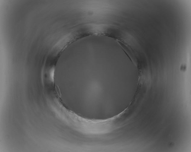 X0000113620047200910021839