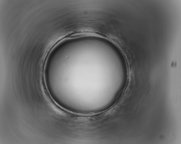 X0000113620049200910021838