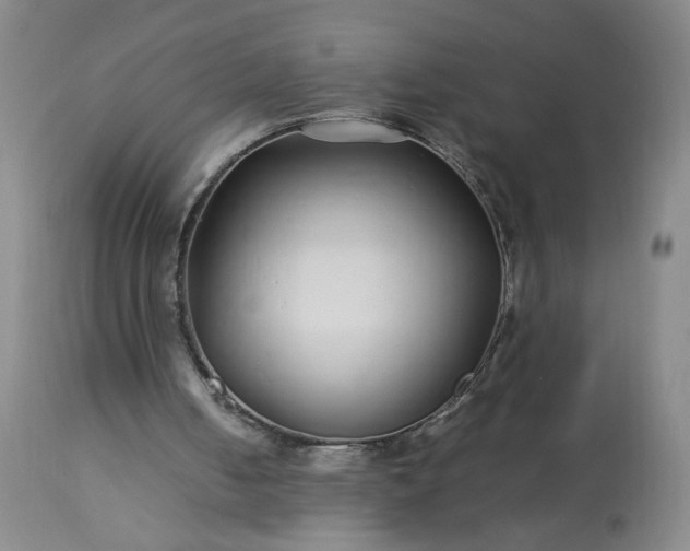 X0000113620050200910021838