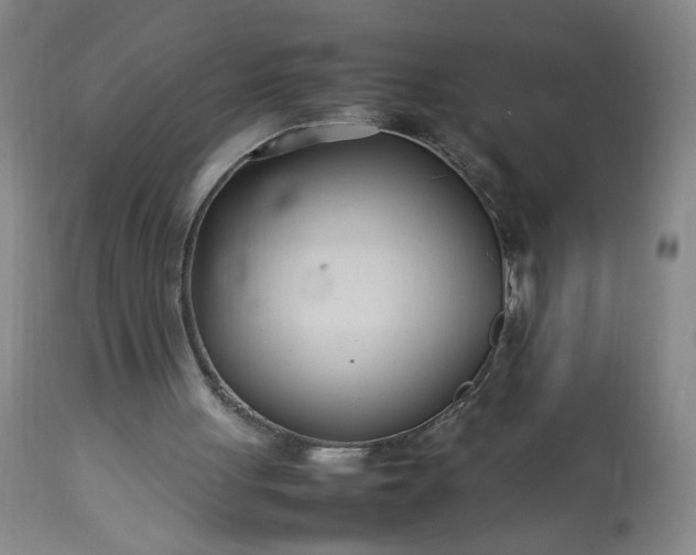 X0000113620051200910021838