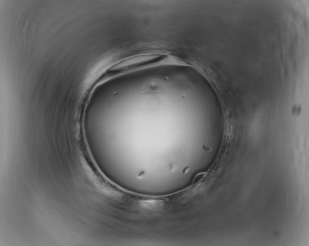 X0000113620053200910021838