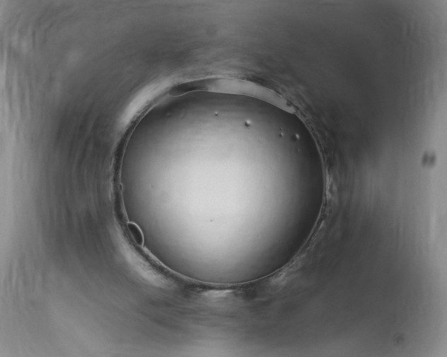 X0000113620054200910021838