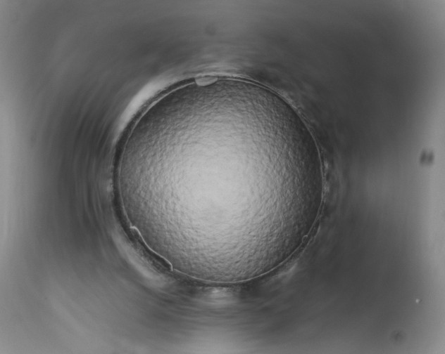 X0000113620056200910021838