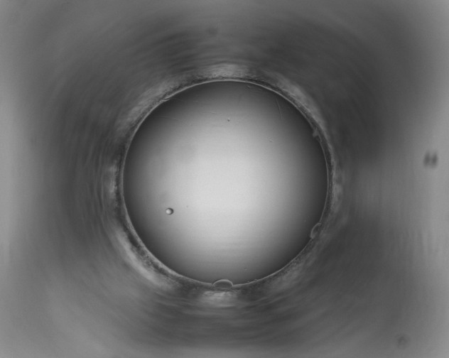 X0000113620057200910021838