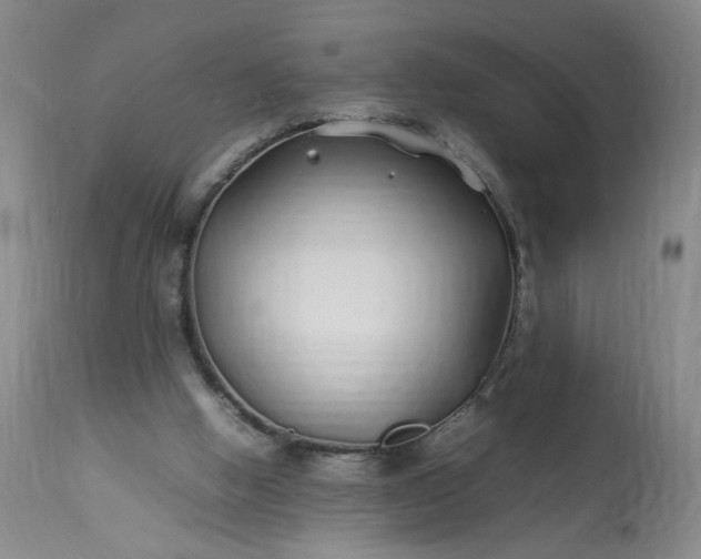 X0000113620058200910021838