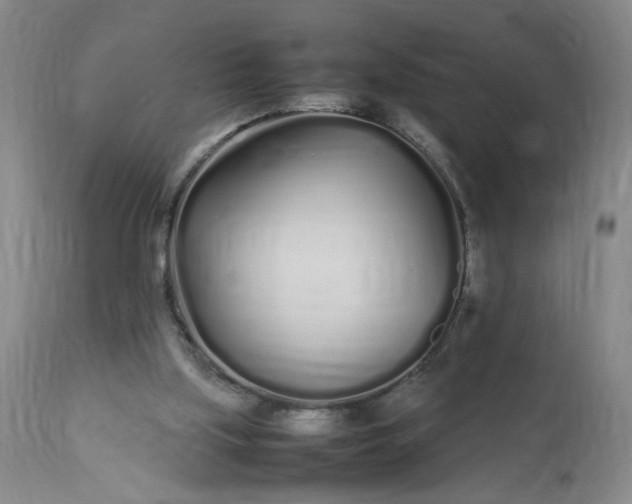 X0000113620059200910021838