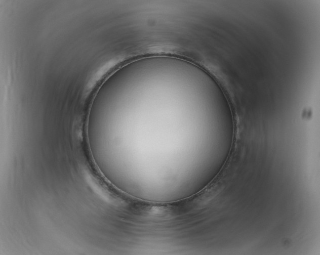 X0000113620060200910021838