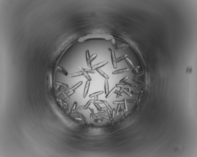 X0000113620061200910021838