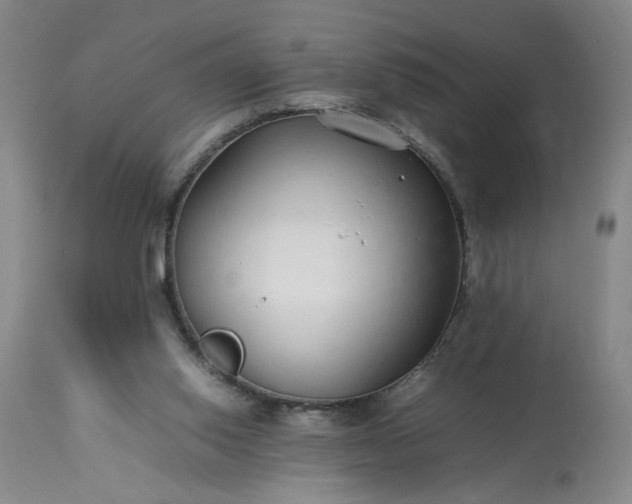 X0000113620062200910021838