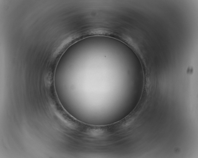 X0000113620063200910021838