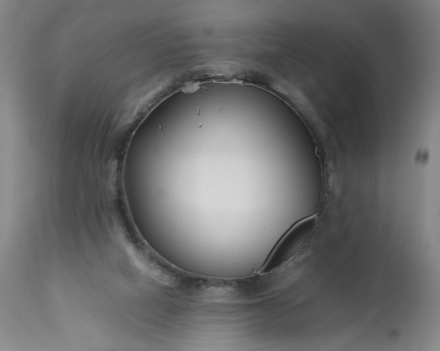 X0000113620066200910021838