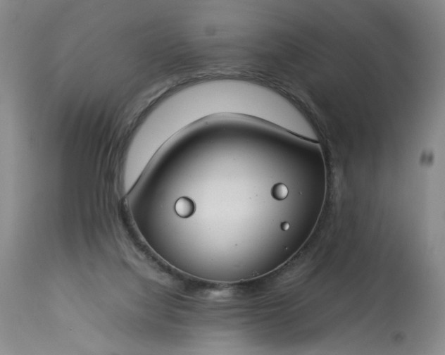 X0000113620068200910021838