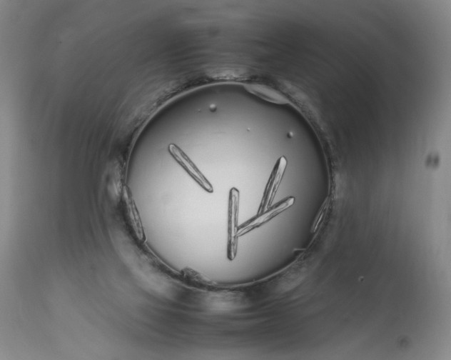 X0000113620069200910021838