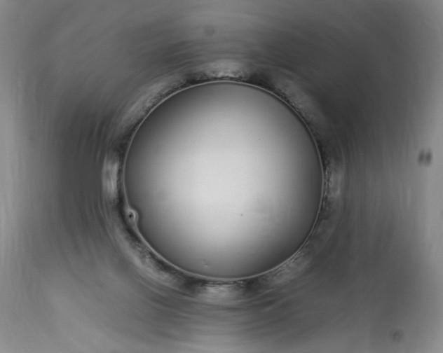 X0000113620070200910021838