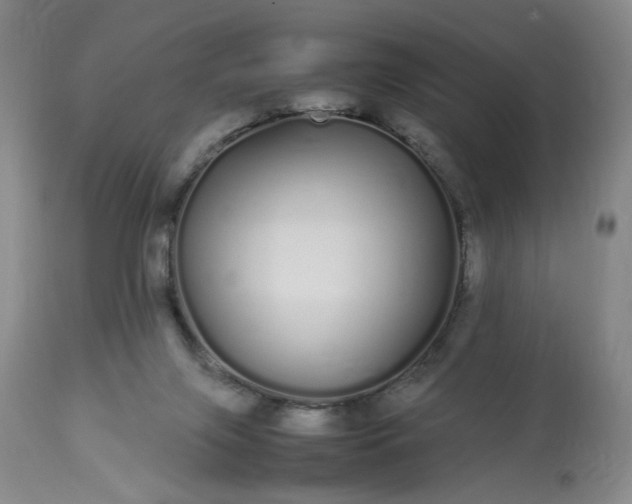 X0000113620071200910021838