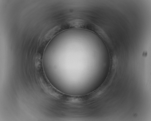 X0000113620073200910021838