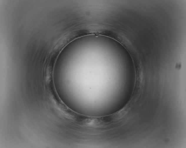 X0000113620074200910021838