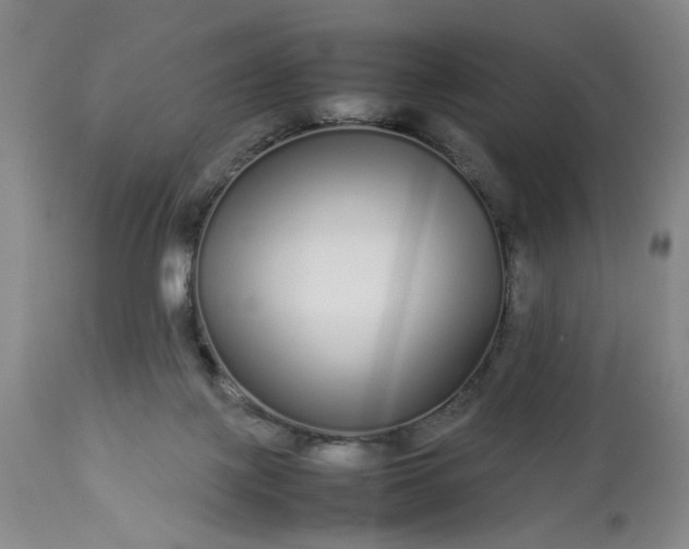 X0000113620075200910021838