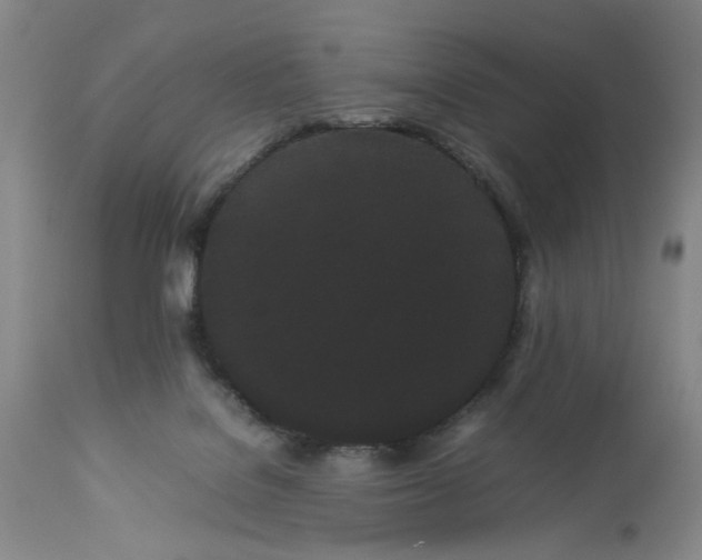 X0000113620076200910021838