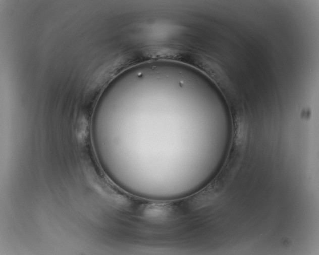 X0000113620077200910021838