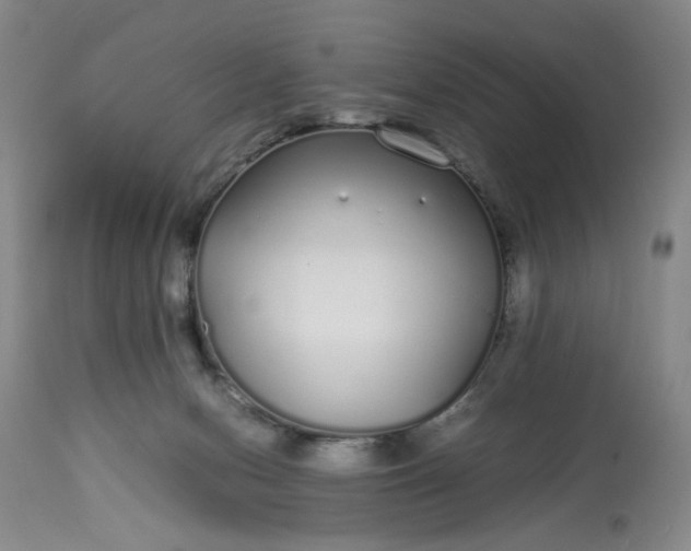 X0000113620078200910021838