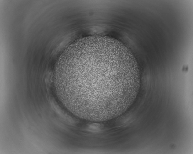 X0000113620079200910021838