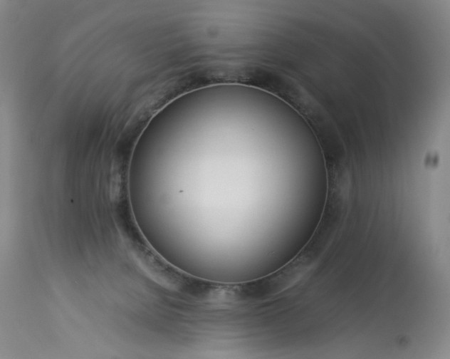 X0000113620080200910021838