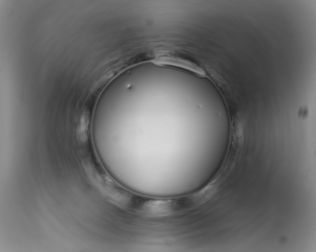 X0000113620082200910021838