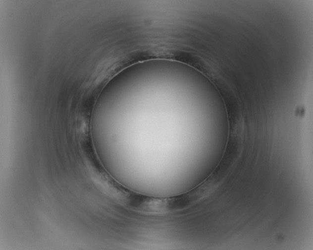 X0000113620084200910021838