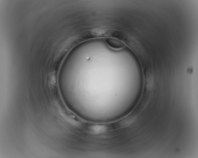 X0000113620085200910021838