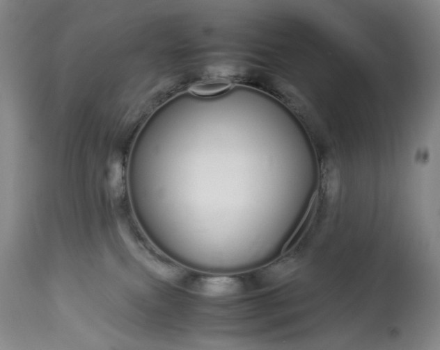 X0000113620087200910021838