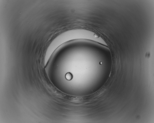 X0000113620088200910021838