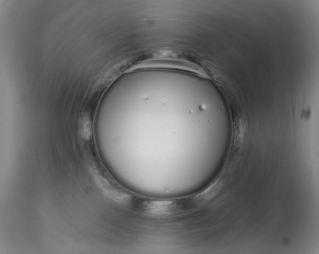 X0000113620090200910021839