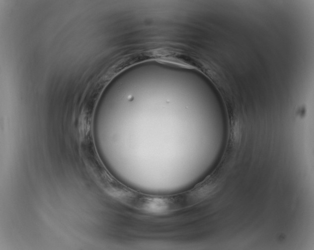 X0000113620091200910021839