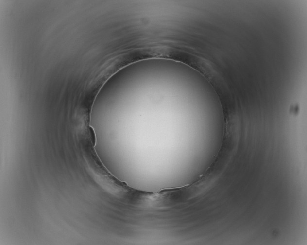 X0000113620092200910021839