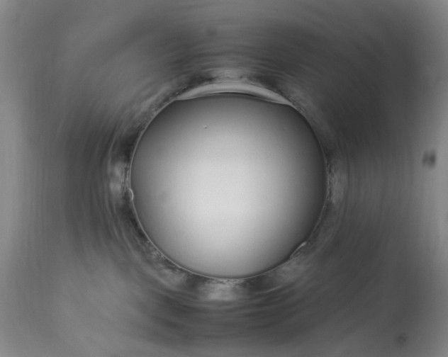 X0000113620093200910021839