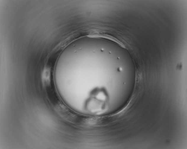 X0000113620094200910021839